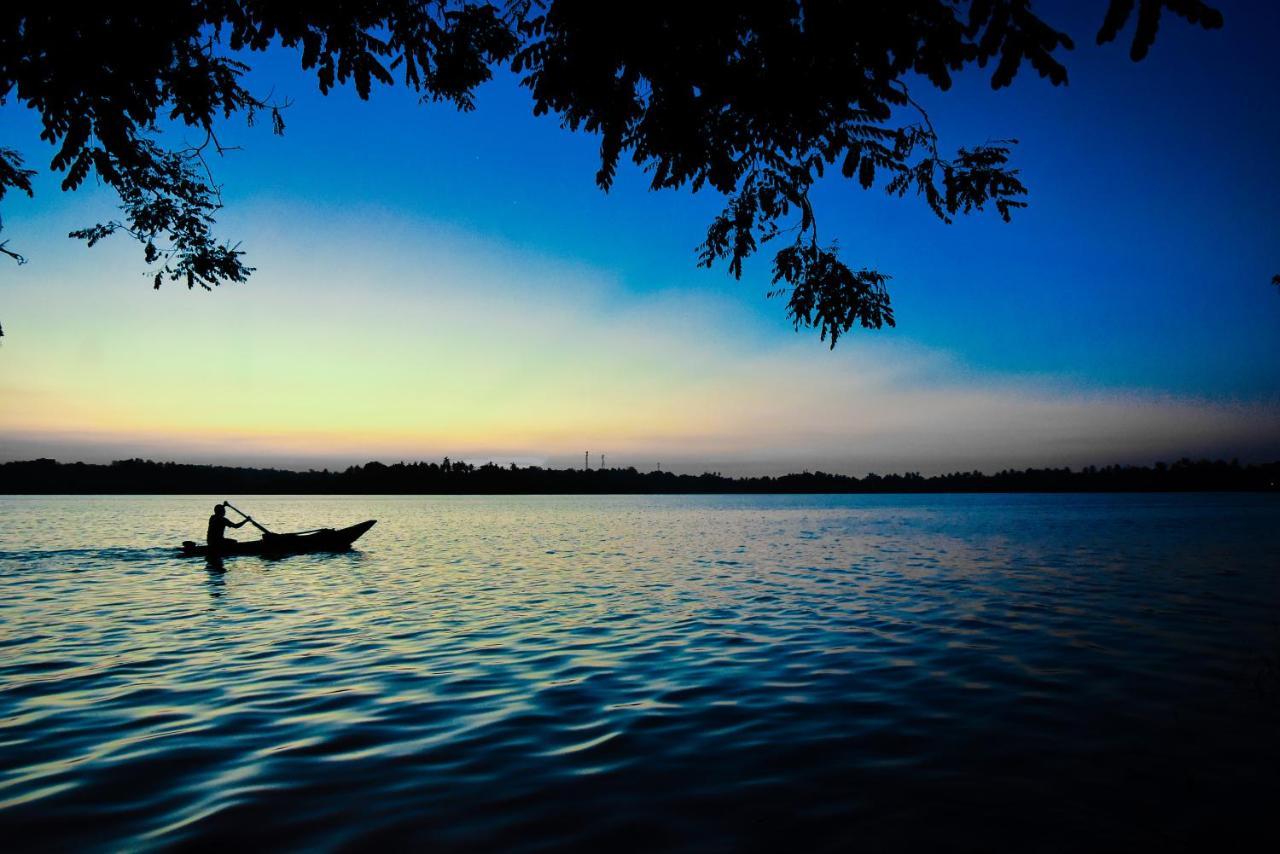 Villa Araliya ฮิกคาดูวา ภายนอก รูปภาพ