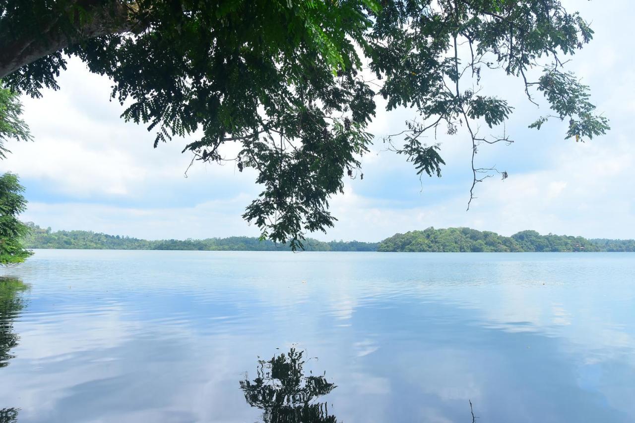 Villa Araliya ฮิกคาดูวา ภายนอก รูปภาพ