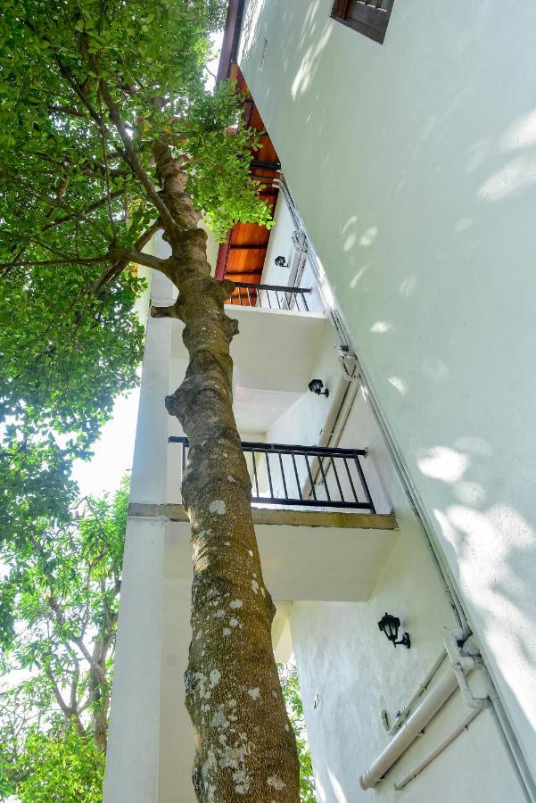 Villa Araliya ฮิกคาดูวา ภายนอก รูปภาพ